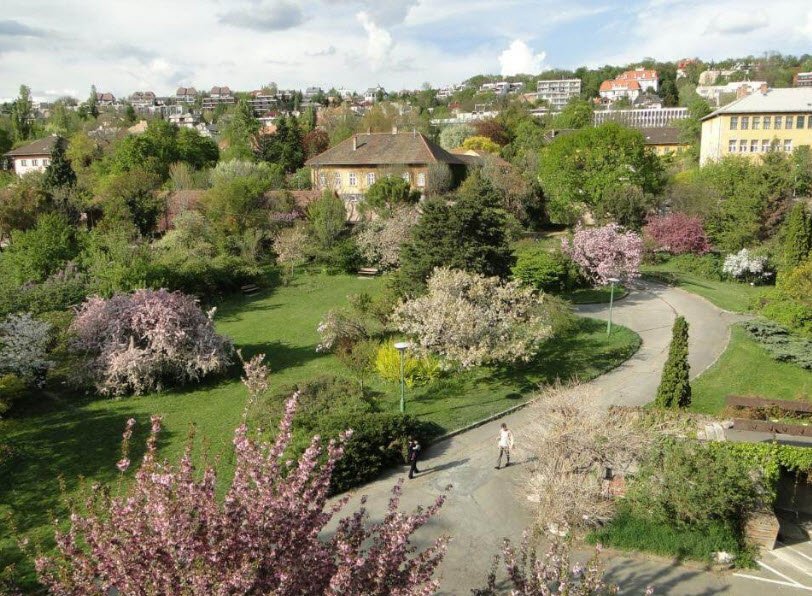Arborétum a minizoo v Bábolne, Hungary